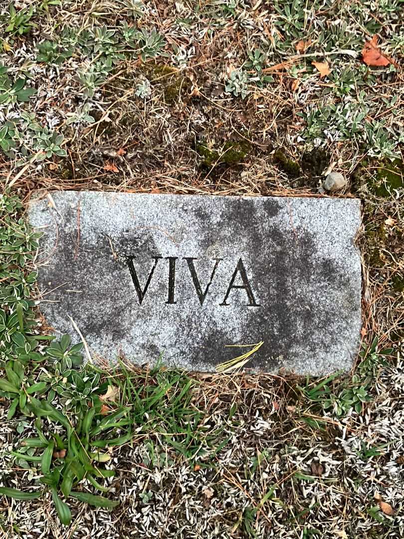 Viva F. Allen's grave. Photo 3