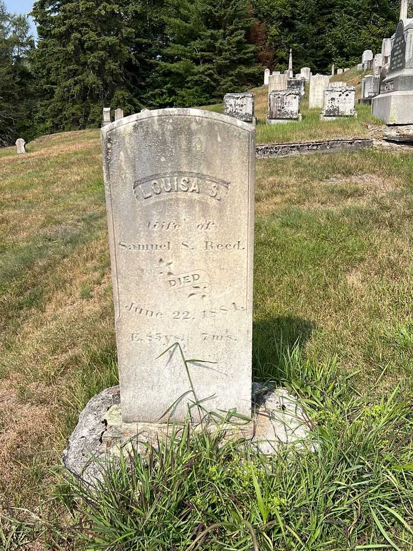 Louisa S. Reed's grave. Photo 2