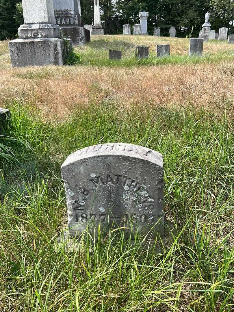 Murray B. Matthews's grave. Photo 2