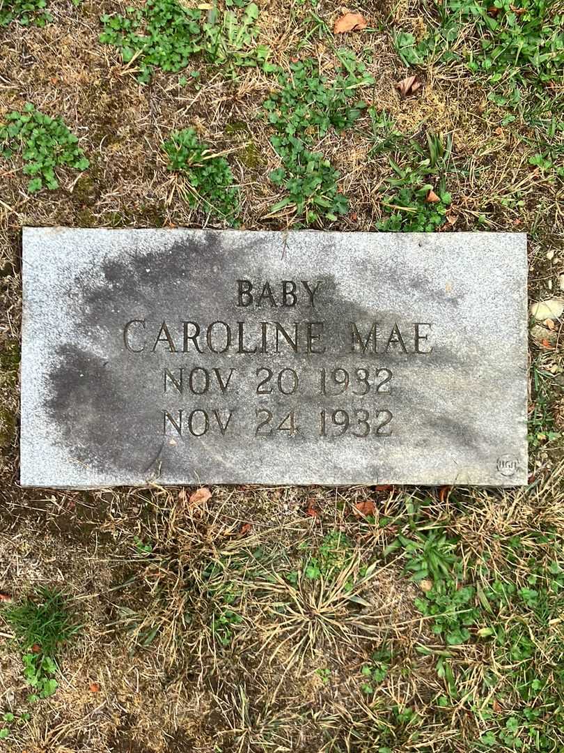 Caroline Mae Vance's grave. Photo 2