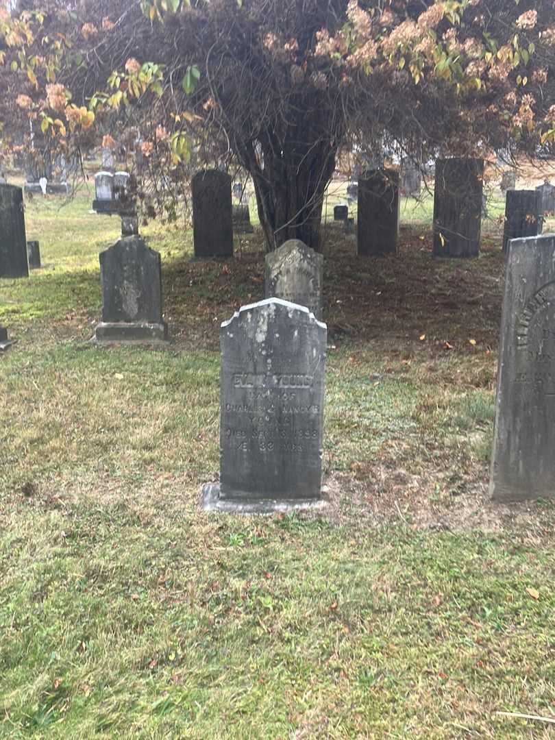 Eva I. Young's grave. Photo 1