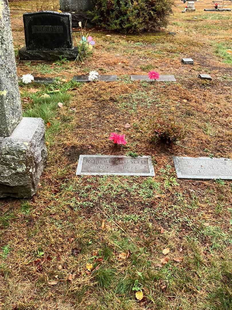 Robert M. Gallo's grave. Photo 2
