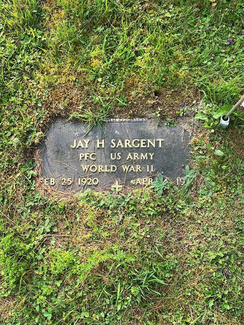 Jay H. Sargent's grave. Photo 3