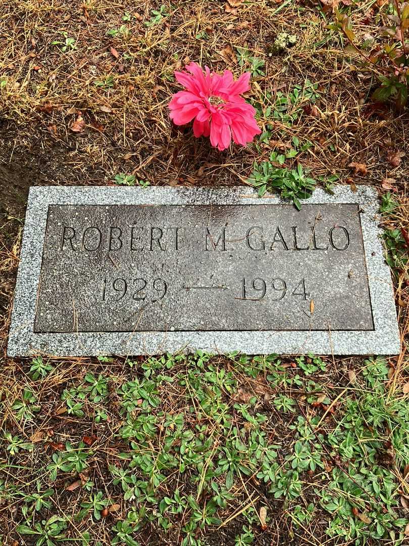 Robert M. Gallo's grave. Photo 3