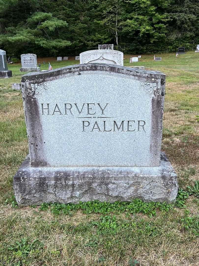George H. Palmer's grave. Photo 1