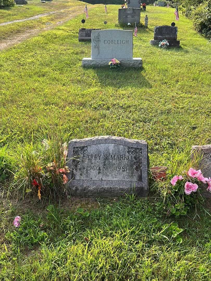 Larry R. Marko's grave. Photo 1