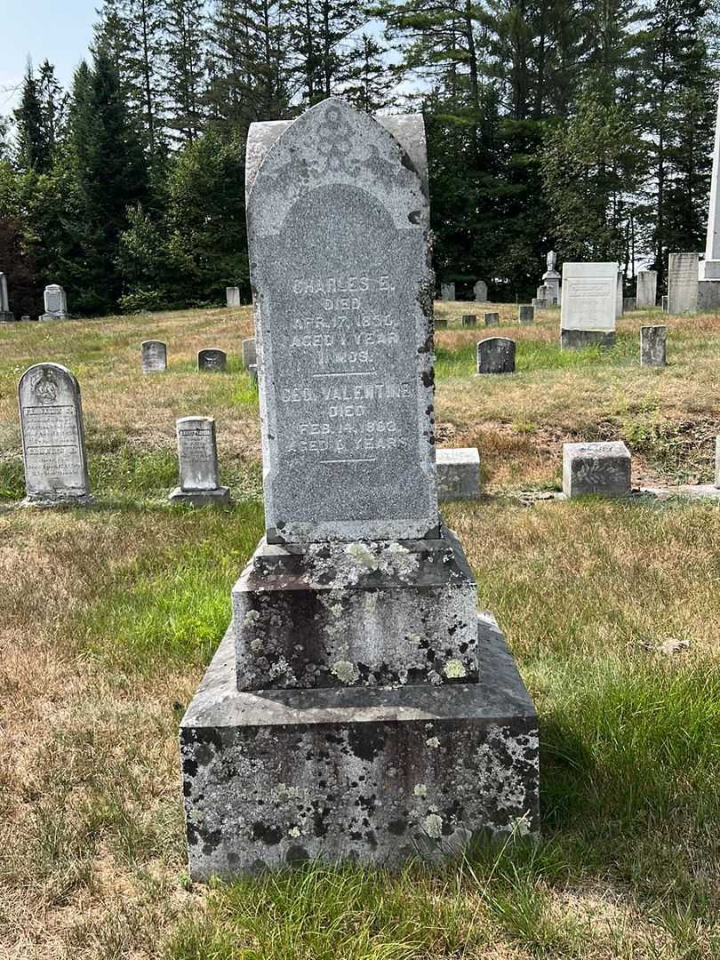 George Valentine Folsom's grave. Photo 2